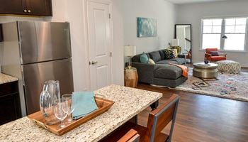 Kitchen and living room